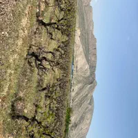 فروش باغ با درختان ثمری و با سند تک برگ سیوند|فروش دفتر صنعتی، کشاورزی، تجاری|سیدان, |دیوار