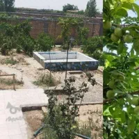 فروش باغ ویلا|فروش خانه و ویلا|کاشمر, |دیوار