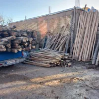 خریدار چوب درختان و چوب های سقفی