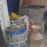 کفترصید رنگه