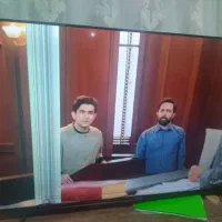 ال ایدی ۵۵ اینچ سینگل