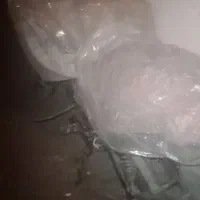 پالس 135|موتورسیکلت|سبزوار, رضوان|دیوار