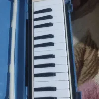 ملودیکا کلکسیونی سوزوکی