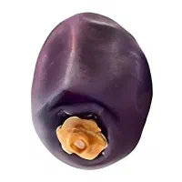 تامین کننده خرمای صادراتی و ضایعاتی|عمده‌فروشی|اهواز, بهارستان|دیوار