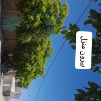 منزل-ویلایی-خوش-آب-وهوا