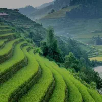 سالندار خانم و نیروی خانم برای آشپزخانه