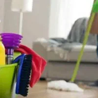 خانم جهت امور منزل