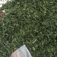 انواع سبزی خشک و تر موجود میباشد|خوردنی و آشامیدنی|حمیدیه, |دیوار