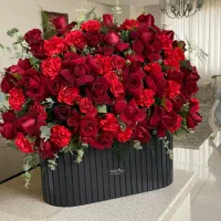 گل رز ولنتاین