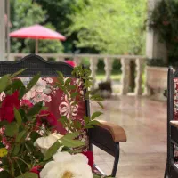 نیازمند نظافتچی خانوم