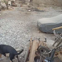 اجاره ۸۰۰ انبار روباز در شهرک بنفشه|اجارهٔ دفتر صنعتی، کشاورزی، تجاری|کرج, شهرک بنفشه|دیوار