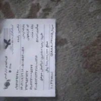 یک  عددکارت ملی به نام خانم صاحبی شیرخانی گم شده