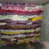 پخش عمده گل رز هلندی ارسال به سراسر کشور|گل و گیاه طبیعی|شیراز, جوادیه|دیوار