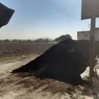 کود پوسیده حیوانی ارگانیک بدون تخم علف و قارچ