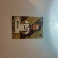 دیوید بکام ۲۰۲۶