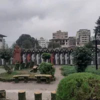 مشارکت دریاگوشه