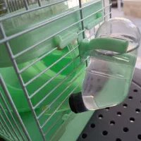 قفس همستر وارداتی با هدیه|لوازم جانبی حیوانات|قزوین, |دیوار