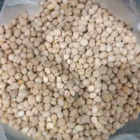 نخود درشت وپزا