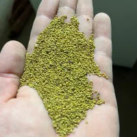 بذر یونجه|خدمات باغبانی و درختکاری|مهاباد (آذربایجان غربی), |دیوار