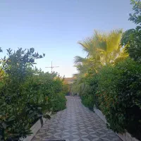 فروش باغ ویلا/۱۰۰۰متر/منتظری/کوچه باغ گلستان|فروش خانه و ویلا|شوش, |دیوار