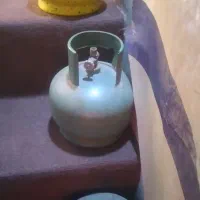 ۵عدد پیکنیک سالم و تمیزدرحد نو