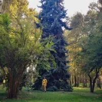 ویلایی با ورودی مجزا و مستقل