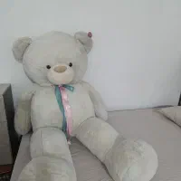 خرس بزرگ خارجی