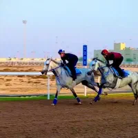 اماده سازی اسب های کورسی (رایگان)