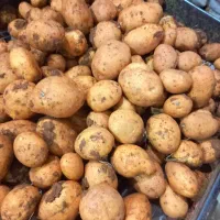 سیب زمینی جلی بذری و خوراک مدل بالا