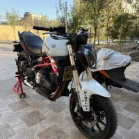 بنلی 300 جفت 250