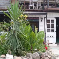 اجاره سوییت روزانه|اجارهٔ کوتاه‌مدت آپارتمان و سوئیت|رشت, پورسینا|دیوار