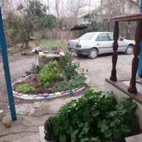 ویلای-جنگلی-دارای-حیاط-بزرگ-و-دلباز