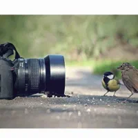 استخدامفوری عکاس اماتورتاحرفهای ماهیانه20 روزانه