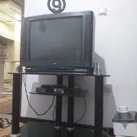 تلویزیون و میز تلویزیون و دیجیتال|میز تلویزیون|قم, پردیسان|دیوار