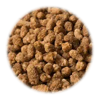 شیره توت