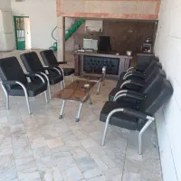 پخش جوجه کارخانه تولید