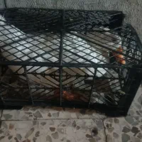 فروش اردک