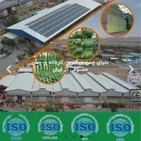 دفتر مرکزی چمن مصنوعی