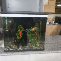 فروش اکواریوم