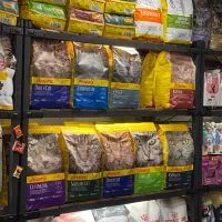 ملزومان حیوانات خانگی پت شاپ پانیپو