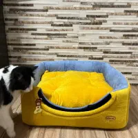 جاخواب گربه