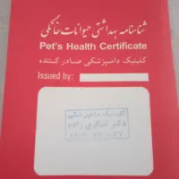 سگ درنظامشهر|سگ|نرماشیر, |دیوار