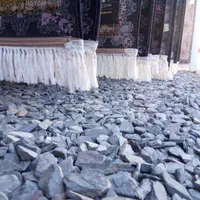 قالیشویی شویی تمام اتماتیک گل سرخ|خدمات نظافت|زاهدان, |دیوار