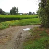 باغ کوچک در بهترین منطقه خوش آب و هوایی|فروش زمین و ملک کلنگی|کندوان, |دیوار