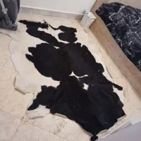 پوست گاوی