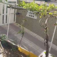 رهن آپارتمان ۴۴ متری ۱ خوابه با پارکینگ و انباری|اجارهٔ آپارتمان|تهران, اتحاد|دیوار
