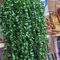 گل لشکر