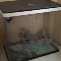 آکواریوم شیشه ای