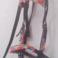 کلگی دست جلو اسب