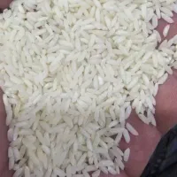 برنج سوناماسوری سفیدودروشت